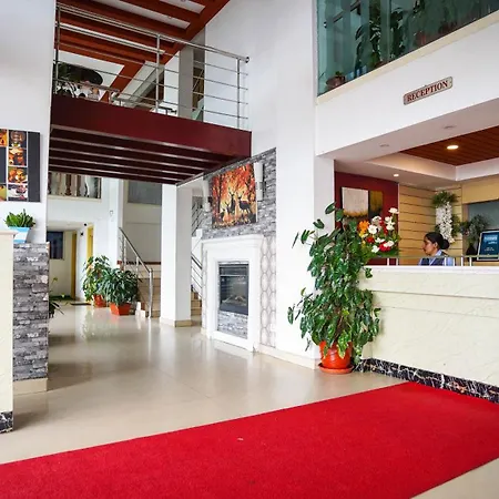 Misty Mountain Resort-2